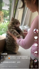 還沒(méi)聽(tīng)過(guò)斷橋鋁內(nèi)開(kāi)內(nèi)倒？趕緊來(lái)圍觀